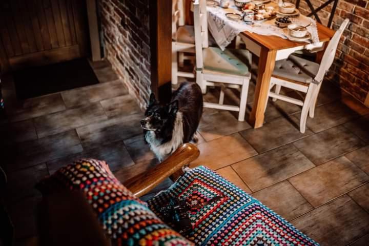 Chata Drewniana Stefanowka Slemien Bagian luar foto