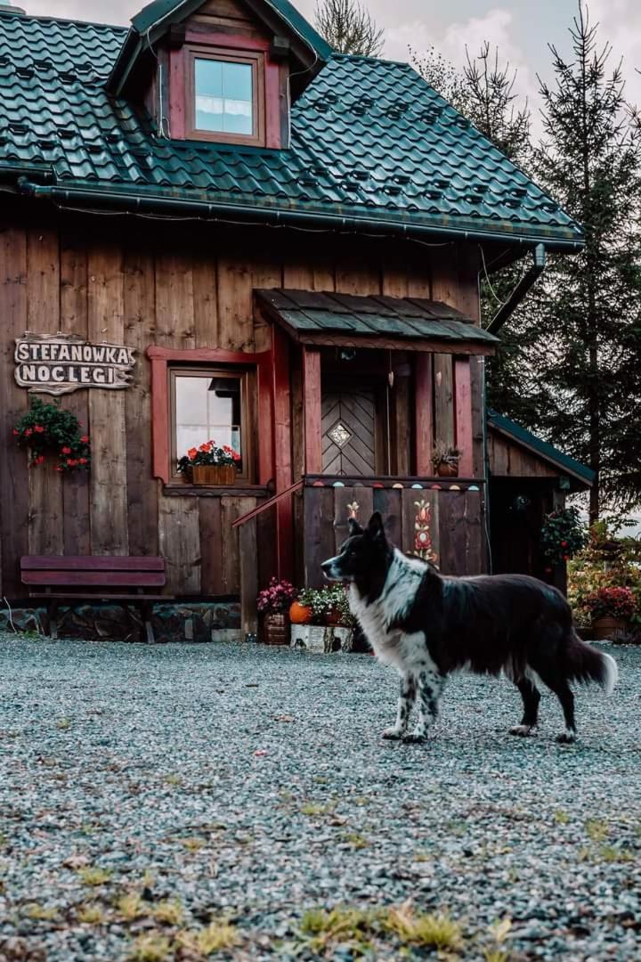 Chata Drewniana Stefanowka Slemien Bagian luar foto